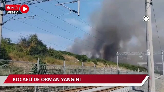 TÜBİTAK yerleşkesindeki orman yangınına müdahale ediliyor