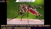 More mosquitos test positive for West Nile virus in Santa Clara County - 1breakingnews.com