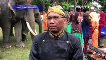 Momen Tiga Gajah Sumatra Jadi Petugas Pengibar Bendera Upacara HUT Kemerdekaan RI