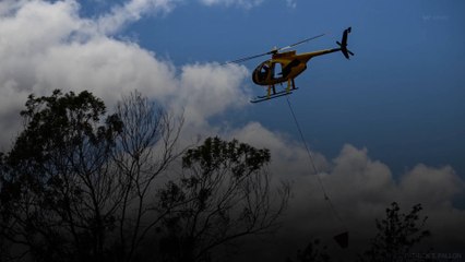 A Hawaï, le bilan s'alourdit pour atteindre 110 morts