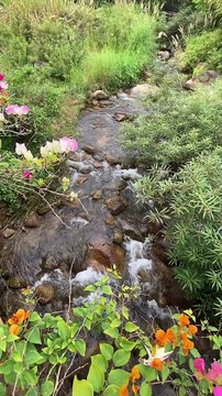 Hazrat Abu Huraira ka waqia | Sahih Bukhari 285 | Hadees | Quran aur hadees || Daily Blink #shorts