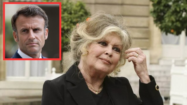 “Un fiasco total”: pourquoi Brigitte Bardot en veut terriblement à Emmanuel Macron ...