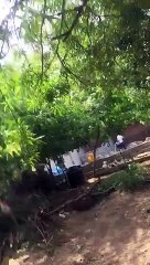 जोन ने अधूरी रिपोर्ट भेजी, प्रवर्तन शाखा ने चिपकाया नोटिस