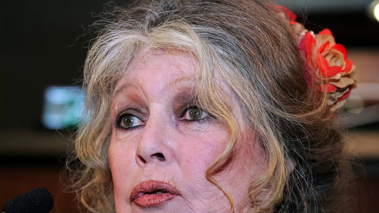 GALA VIDEO - Brigitte Bardot, ce président français qui se plaisait à la flatter : “Il m'appelait 'ma biche'”