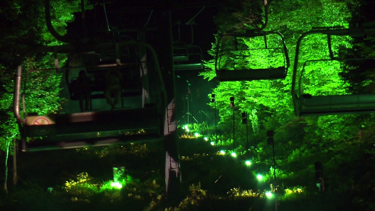 L'oiseau mécanique dérange à Petite-Rivière-Saint-François