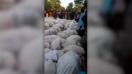 Yirmibirinci yüzyılda insanlık ayıbı: Etiyopya köle pazarı