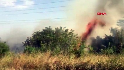 TÜBİTAK yerleşkesinde orman yangını