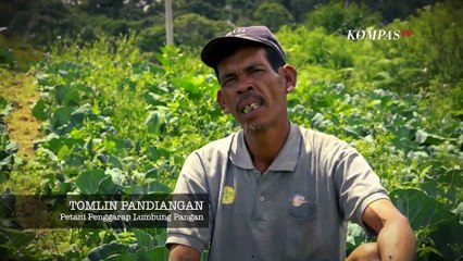 [FULL] Program Lumbung Pangan Ini Berpihak ke Siapa? | BERKAS KOMPAS