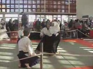 Aikido Festival Asiatique Saint-Lô 2008 AFuJi