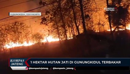 1 Hektar Hutan Jati di Gunungkidul Terbakar