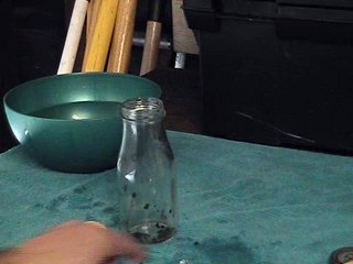 Egg in The Bottle | Weird Science Experiment