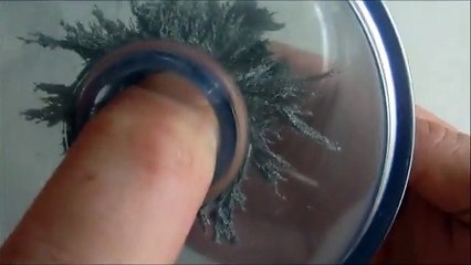 Magnetic Field Generator | Weird Science Experiment