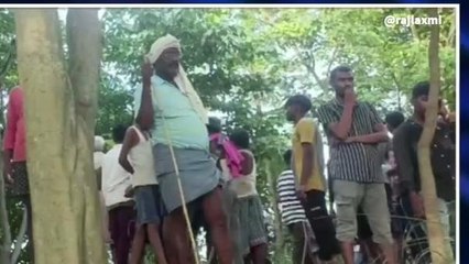 सिवान: सड़क दुर्घटना में दो चचेरे भाईयों की दर्दनाक मौत, परिवार में मची चीख-पुकार