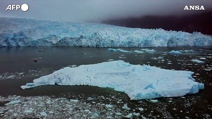 La Terra cambia, nuovi habitat rimpiazzano i ghiacciai