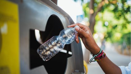 Tri sélectif : le guide pour apprendre à trier ses poubelles