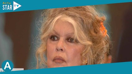 Brigitte Bardot, ce président français qui se plaisait à la flatter  “Il m'appelait 'ma biche'”