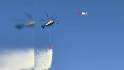 Hatay'da orman yangını kısa sürede söndürüldü