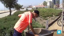 3 agents cívics treballen a les platges de Castelló d’Empúries