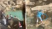 Italie : une touriste remplit sa gourde dans la fontaine de Trevi et choque les internautes