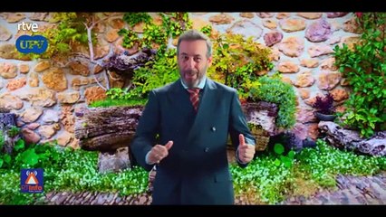 4 Estrellas Episodio 69 Completo Día de elecciones
