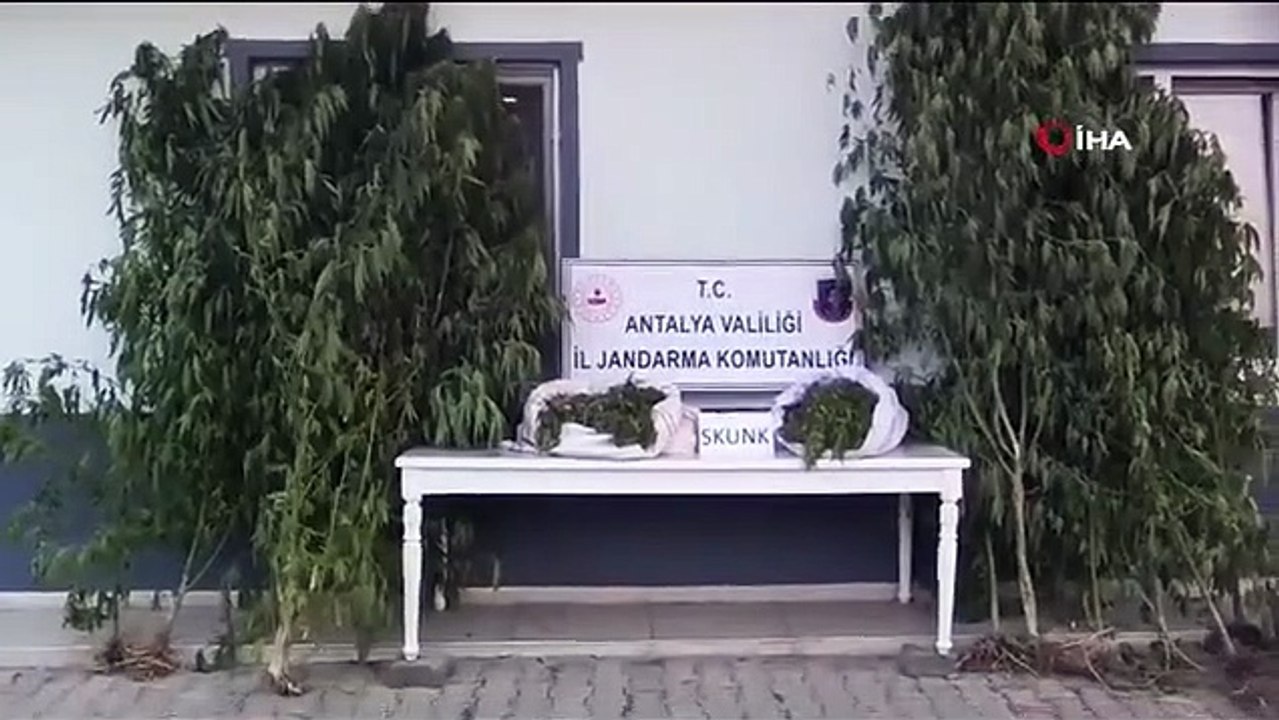 Antalya'da 17 Kilogram Skunk Uyuşturucu Madde Ele Geçirildi