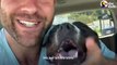 Scared Pittie Gets So Happy When He Meets This Guy And His Pack   The Dodo Foster Diaries