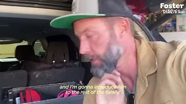 16 Year Old Shelter Dog Starts Galloping Like A Puppy With His Foster Dad The Dodo Foster Diaries