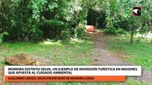 Momora Distrito Selva, un ejemplo de inversión turística en Misiones que apuesta al cuidado ambiental