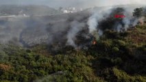 Gebze TÜBİTAK yerleşkesinde ormanlık alanda yangın... Kocaeli Valisi Yavuz: 10 hektar alan yandı
