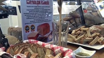 Sağlıklı beslenme için ata tohumundan üretilen karakılçık buğdayı sofralarda