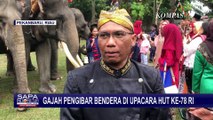 3 Gajah Jadi Petugas Upacara Pengibaran Bendera pada Perayaan HUT RI di Kantor BBKSDA Riau!