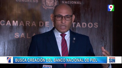 Diputado peledeista busca creación de banco de piel tras tragedia| Primera Emisión SIN