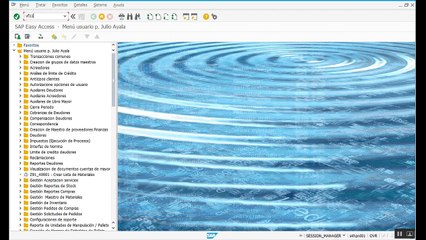PP-Reversa Embarque - borrado total