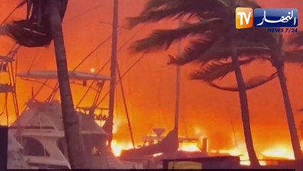أمريكا: نيران جزيرة ماوي تلتهم الأخضر واليابس وتقضي على حياة 111 شخص