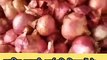 Shujalpur's Gaelic / Onions market price in india 17/08/2023 !! शुजालपुर की लहसुन/प्याज मंडी भाव 17 /08/2023