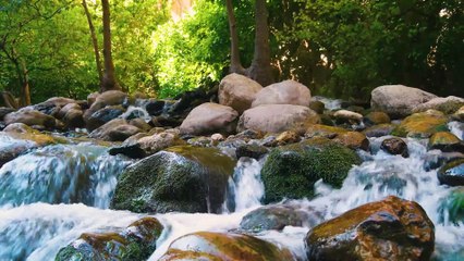 Nimbus Relaxing Music - Soothing Instrumental Sounds, Inner Cloud, Relaxation