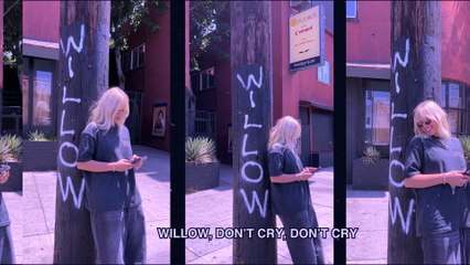 Reneé Rapp - Willow (Lyric Video)