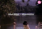 Sibel Bilgiç - Alışamadım (Lyrics)