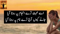AA Muhabbat Tere Unjam Pe Rona Ayaa | #poetry