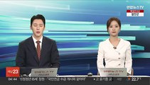 말레이시아서 소형 여객기 추락…최소 10명 사망