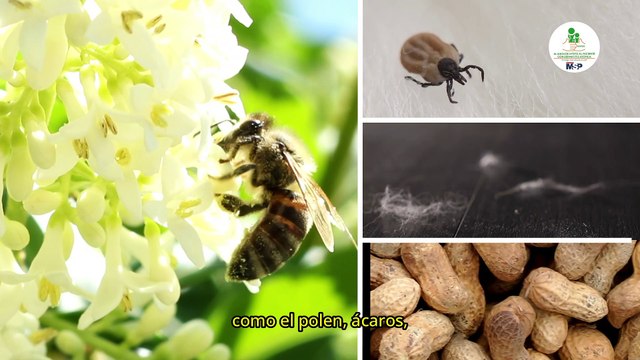 Marcha atópica: El vínculo entre dermatitis atópica y alergias