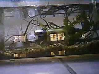 Aquário 2 - 17/08/2023