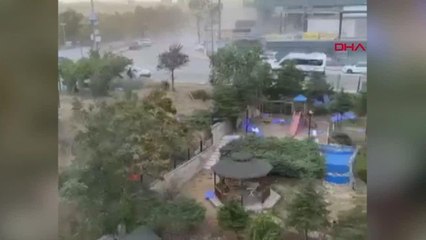 Ankara'da kuvvetli rüzgar; ağaçlar devrildi, çatılar uçtu