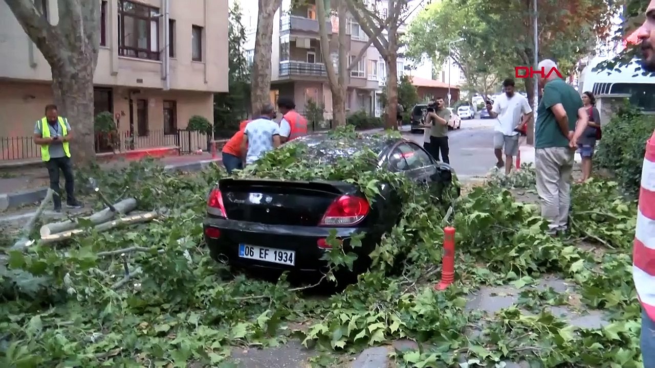 vent fort à Ankara; des arbres sont tombés, des toits ont volé
