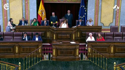 Pepa Millán en su primera intervención en el Congreso: "No sabemos si han acatado la Constitución o si la han atacado"