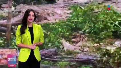 Intensas lluvias llegan a India