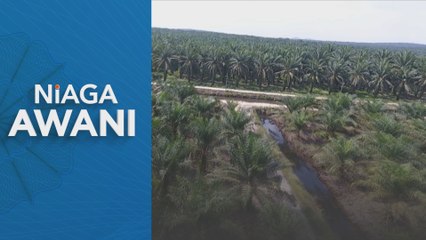 Syarikat perladangan sawit berdepan tempoh mencabar