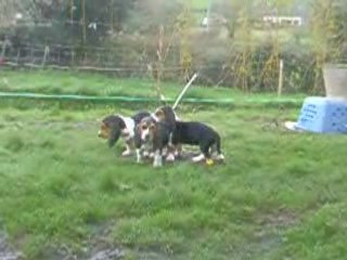 Les bébés d'Uble profite d'un rayon de soleil