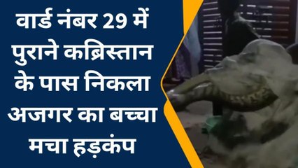 प्रयागराज: पुराने कब्रिस्तान के पास निकला अजगर, मचा हड़कंप