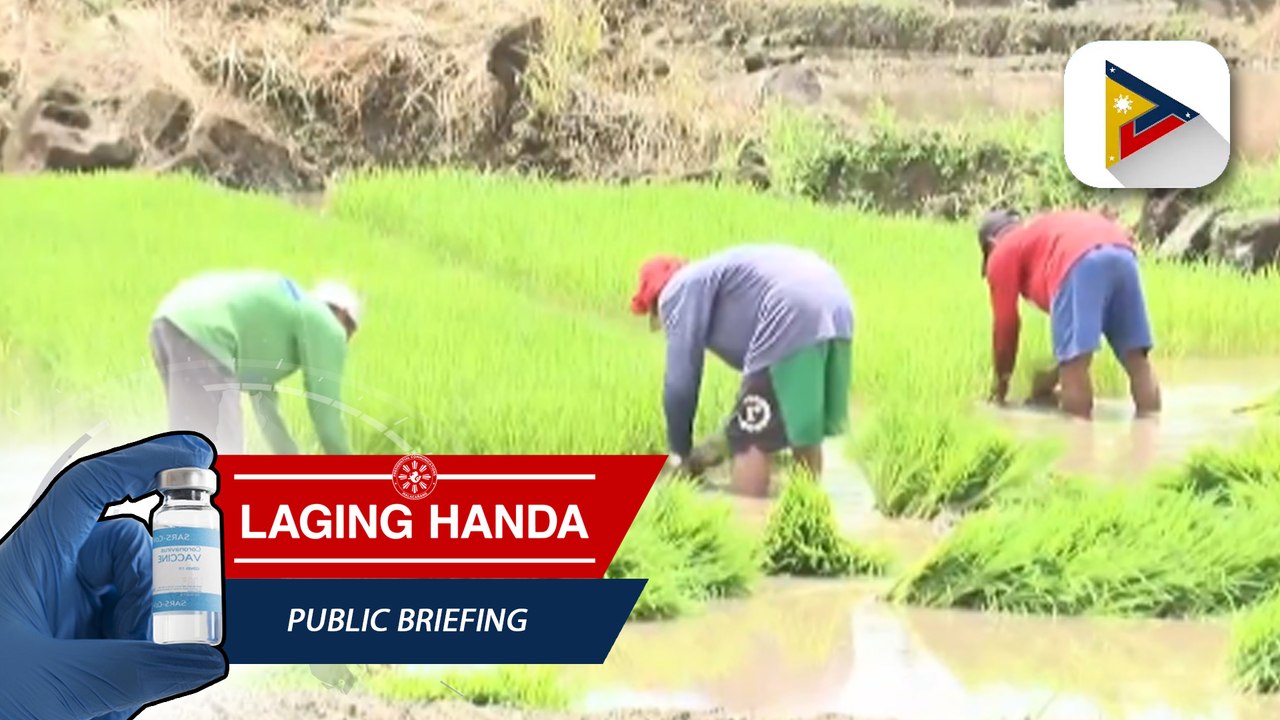 Presyo ng bigas, inaasahang magiging stable ngayong simula na ang anihan ng malalaking palay-producing regions